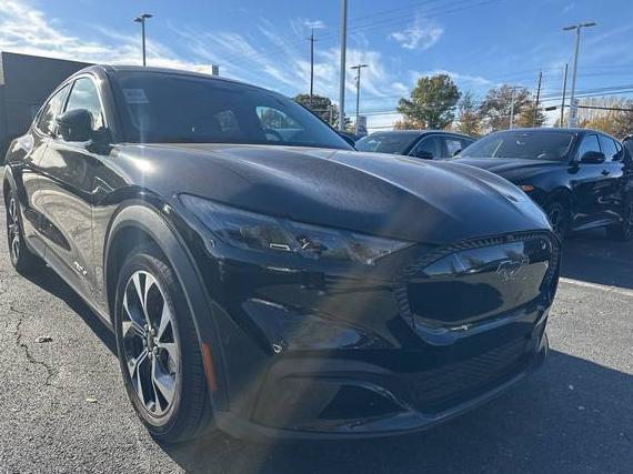 FORD MUSTANG MACH-E 2024 3FMTK1R40RMA17034 image